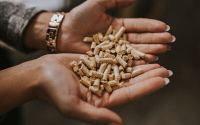 Biomasa en Córdoba: una alternativa sostenible para industrias y grandes instalaciones